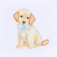 Magnolia Baby_Sweet Golden Gathered Gown - Light Blue_2