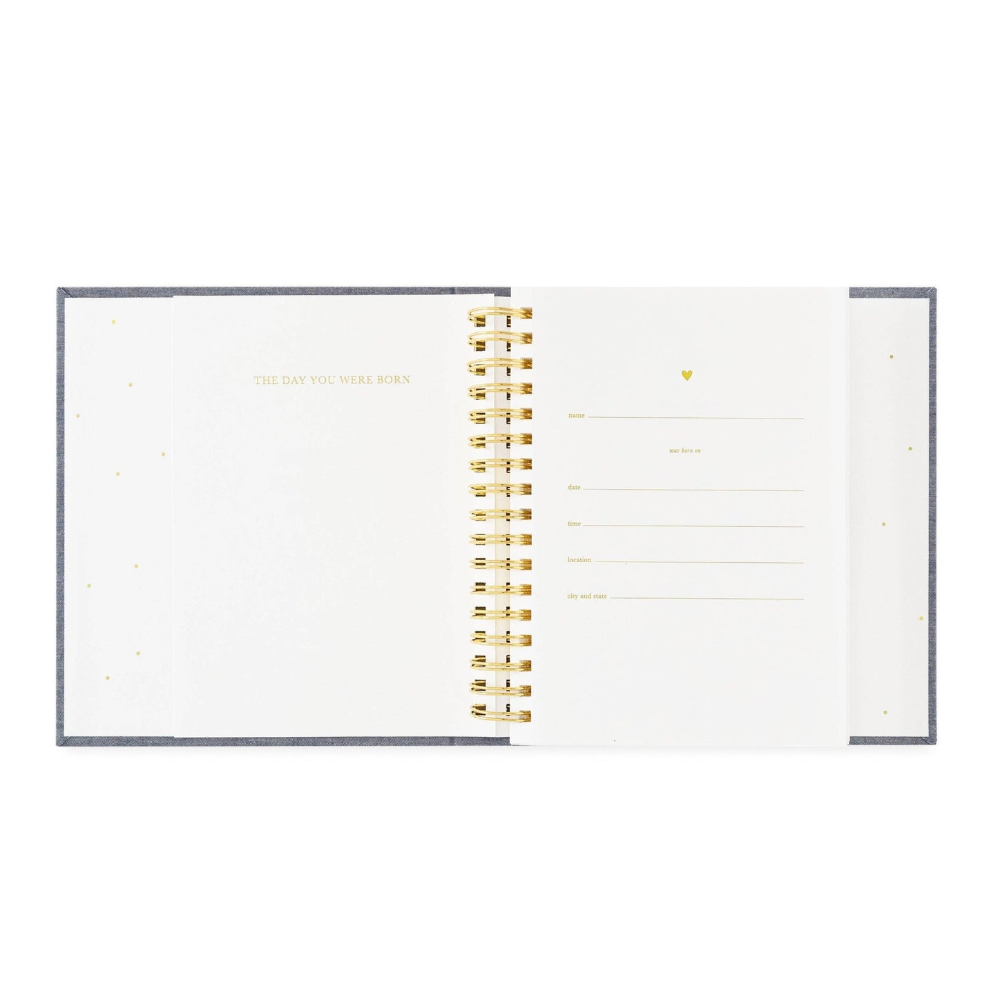 The Birthday Book - Magnolia BabyBook