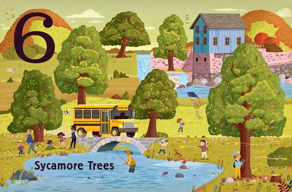 Gibbs Smith_Trees: A Count and Find Primer_4