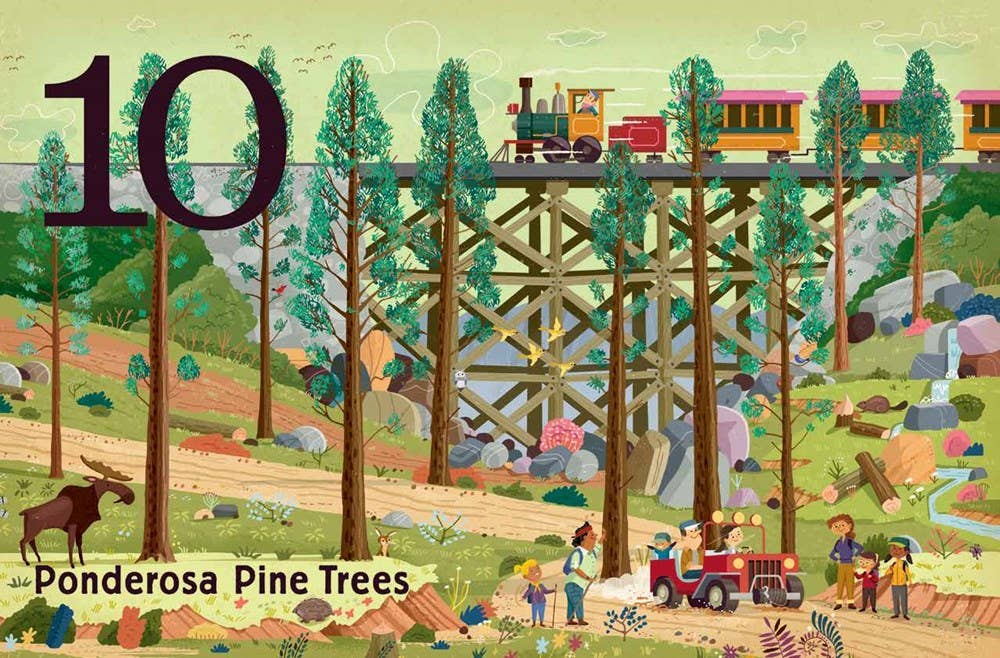 Gibbs Smith_Trees: A Count and Find Primer_5