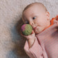 Oli & Carol_Veggie Soup Baby Sensory Balls_3