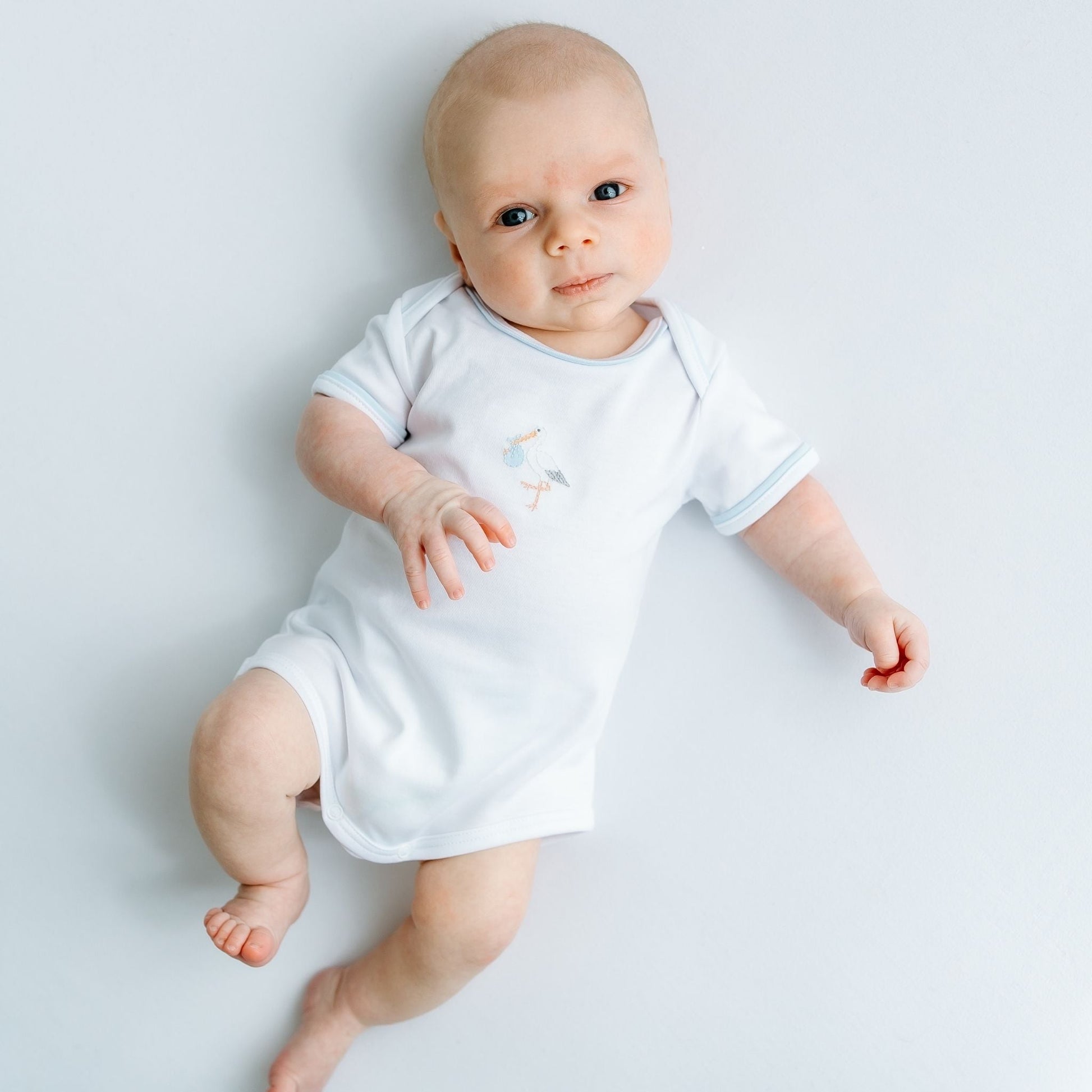 Vintage Stork Bodysuit - Light Blue - Magnolia BabyBodysuit