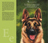 W is for Woof: A Dog Alphabet Picture Book - Magnolia BabyBook
