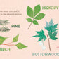 Gibbs Smith_Walden: A BabyLit® Nature Primer_3