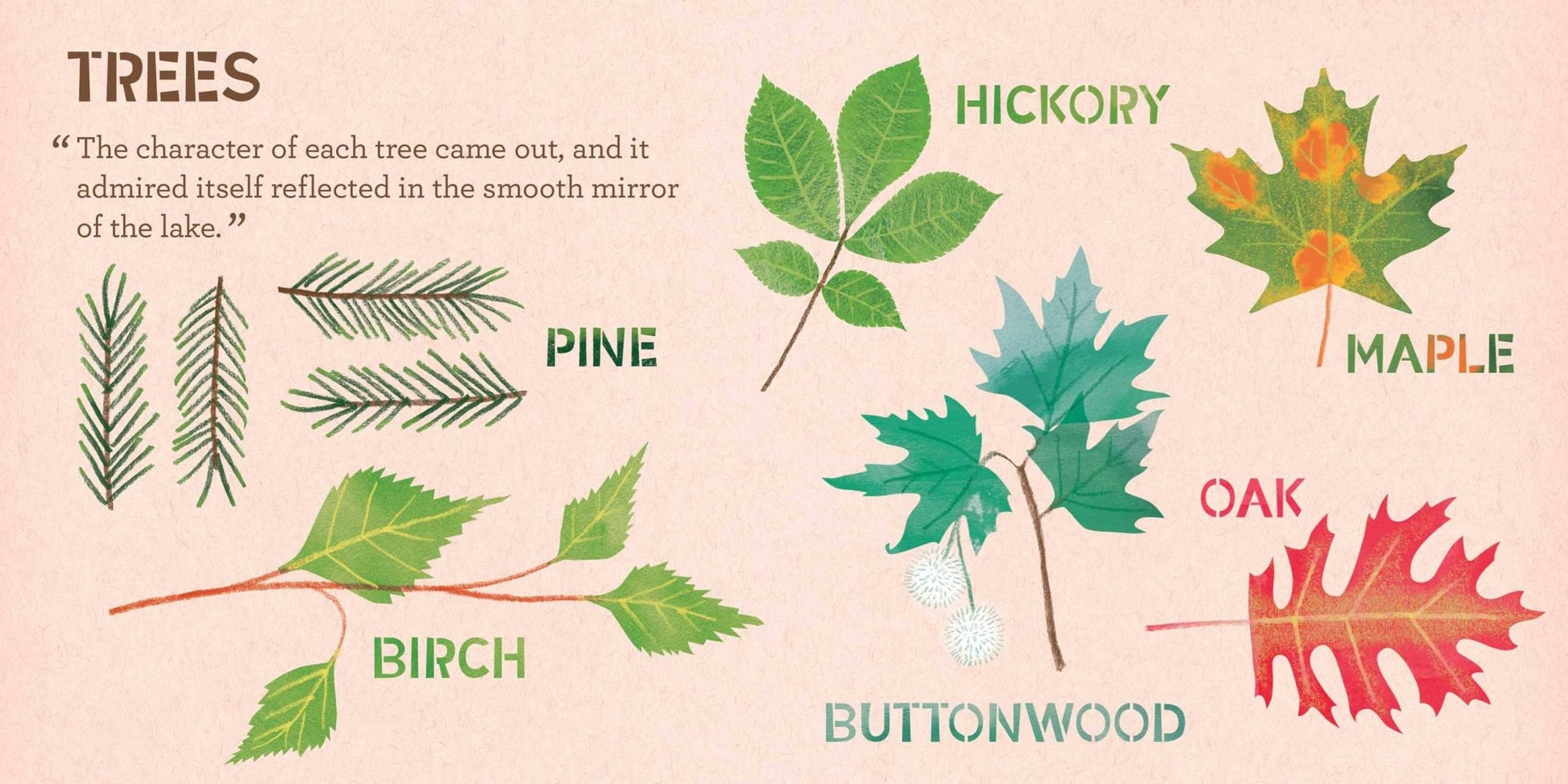 Gibbs Smith_Walden: A BabyLit® Nature Primer_3
