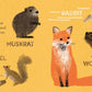 Gibbs Smith_Walden: A BabyLit® Nature Primer_4