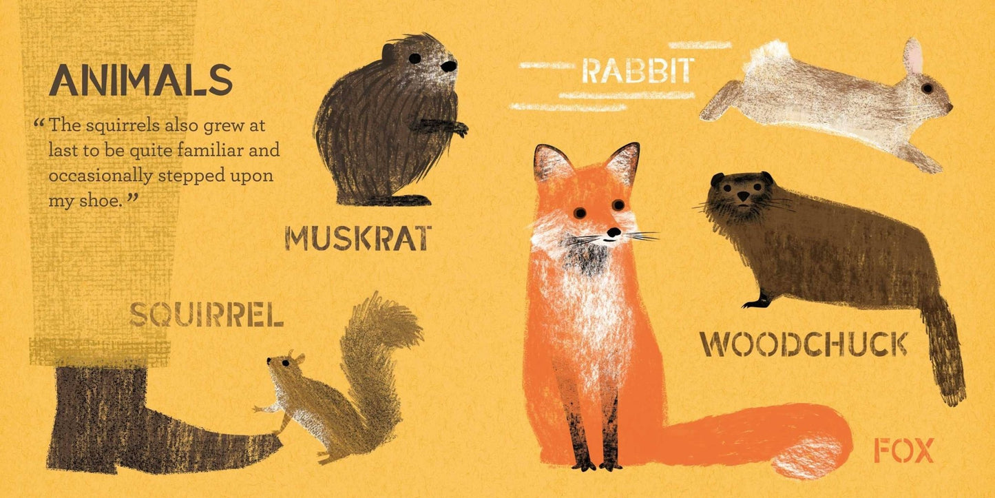 Gibbs Smith_Walden: A BabyLit® Nature Primer_4