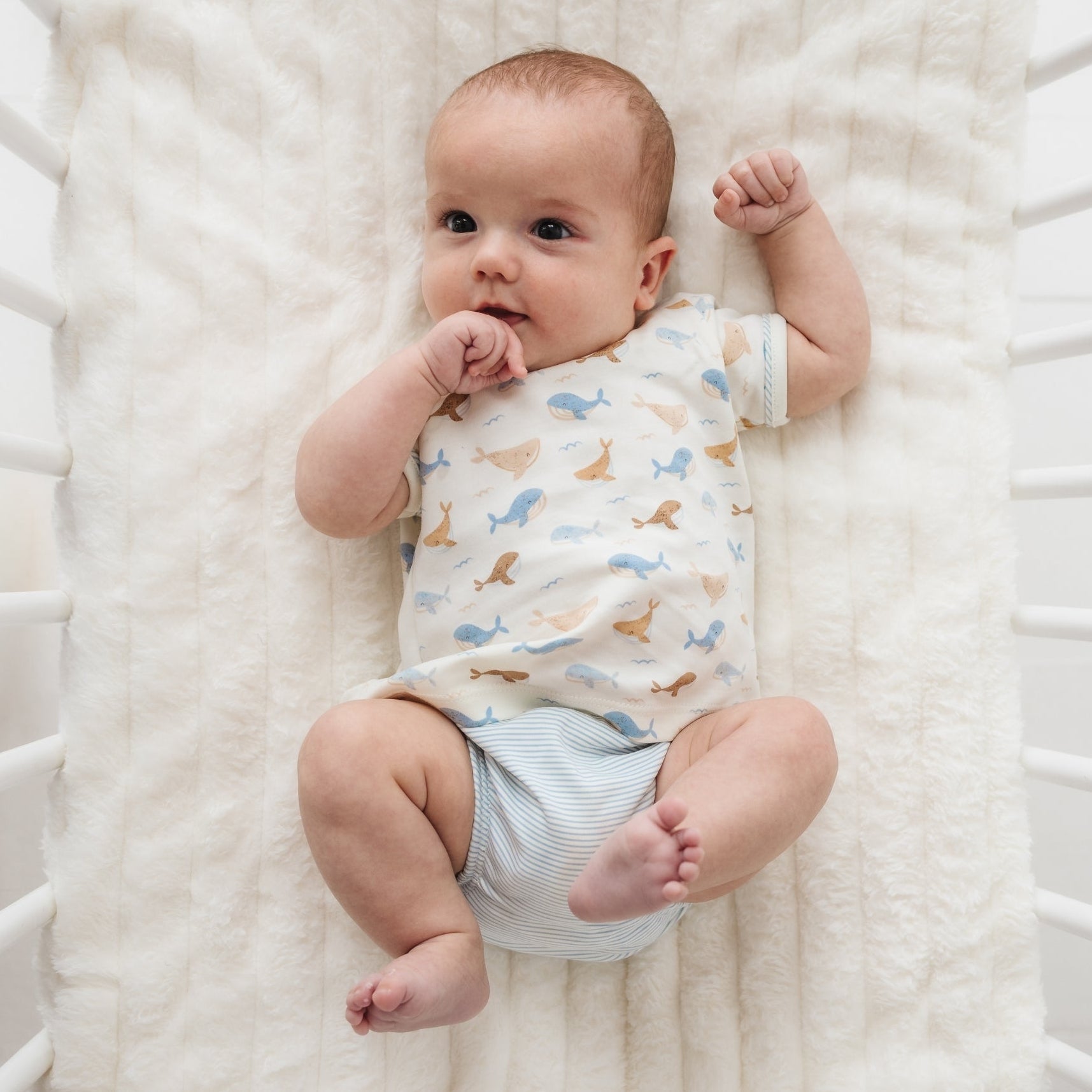 Whale Tales Diaper Cover Set - Ivory - Magnolia BabyDiaper Cover