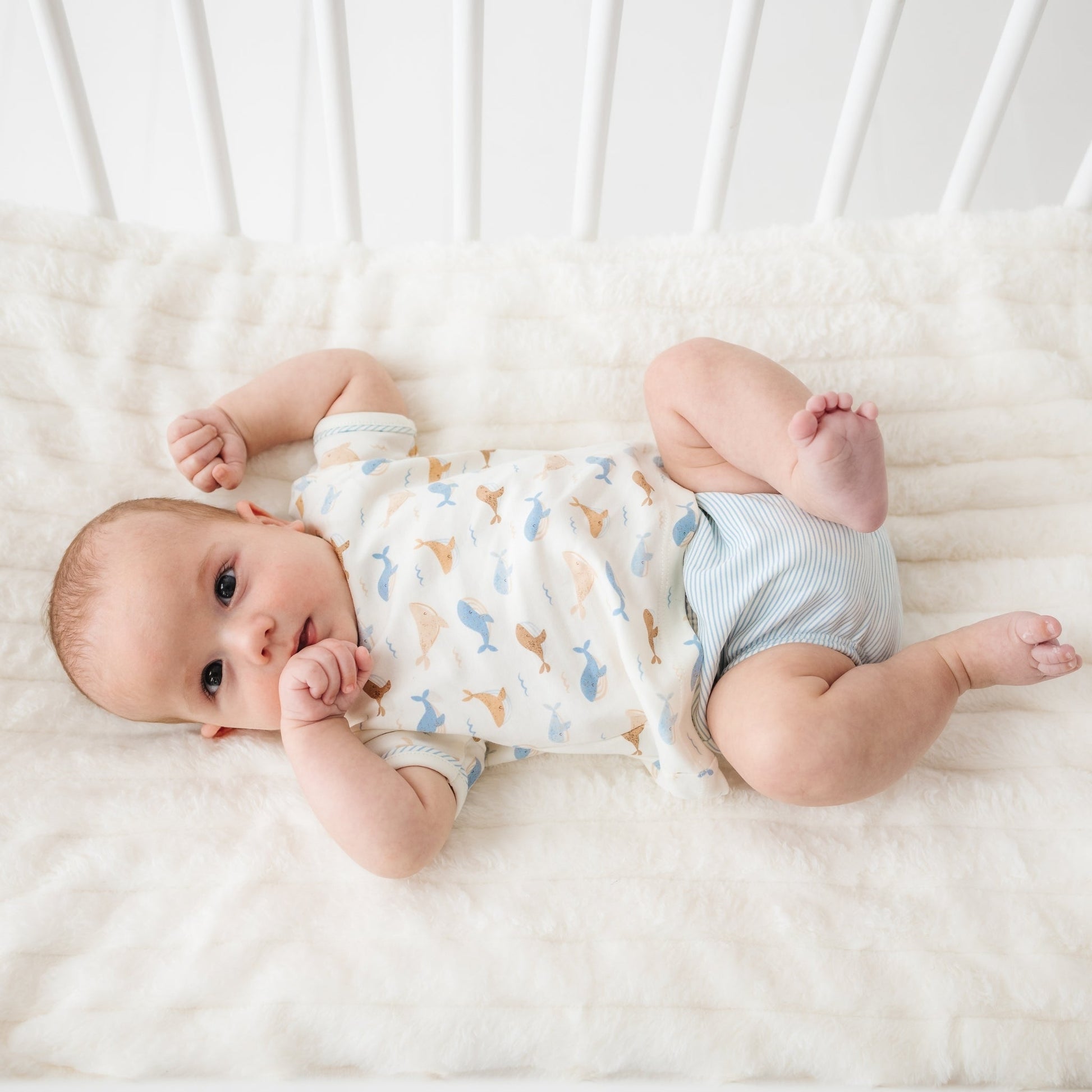 Whale Tales Diaper Cover Set - Ivory - Magnolia BabyDiaper Cover