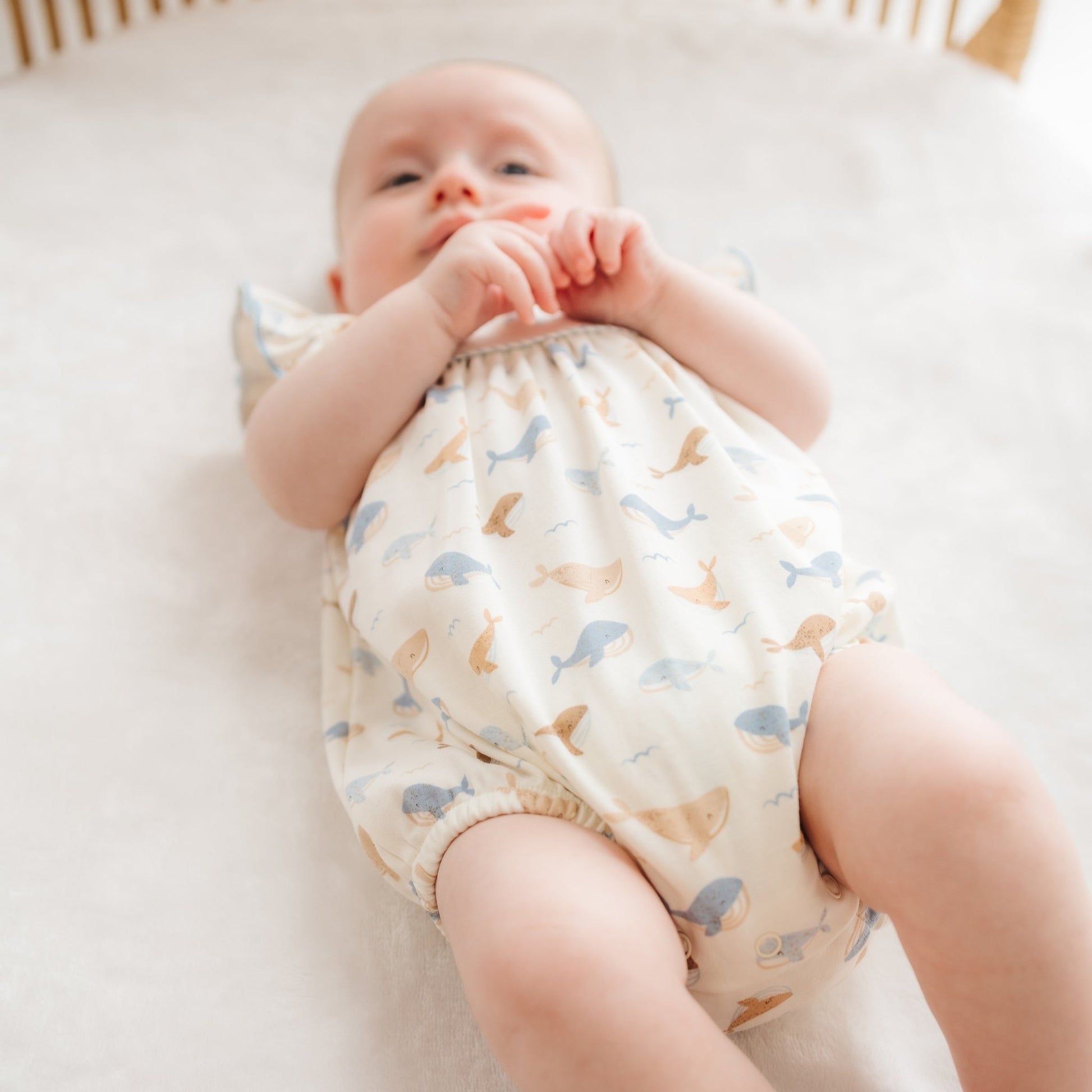 Whale Tales Flutters Bubble - Ivory - Magnolia BabyBubble