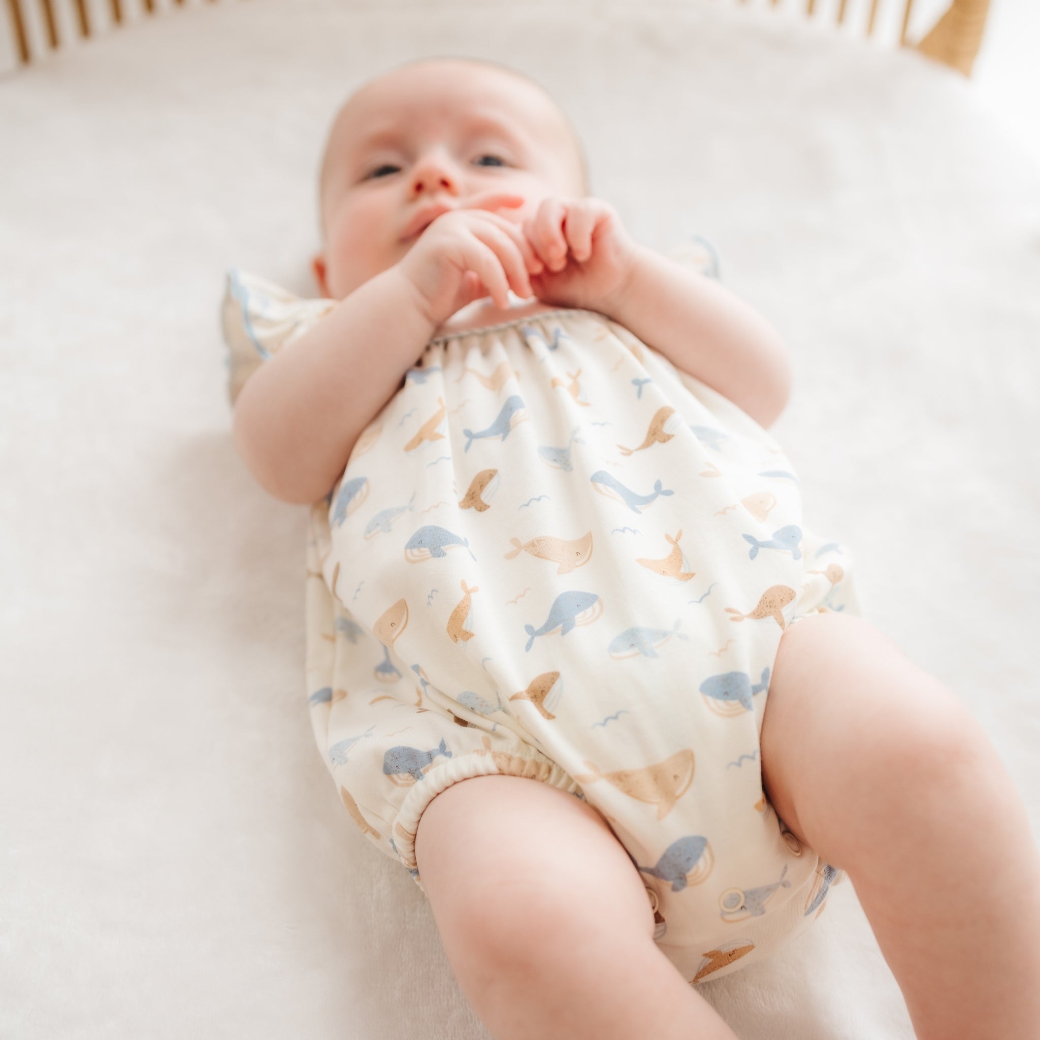 Whale Tales Flutters Bubble - Ivory - Magnolia BabyBubble