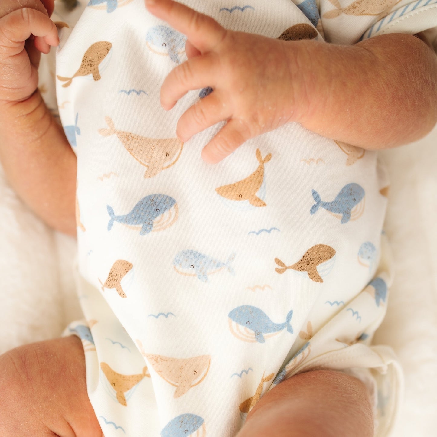 Whale Tales Lap Bodysuit - Ivory - Magnolia BabyBodysuit