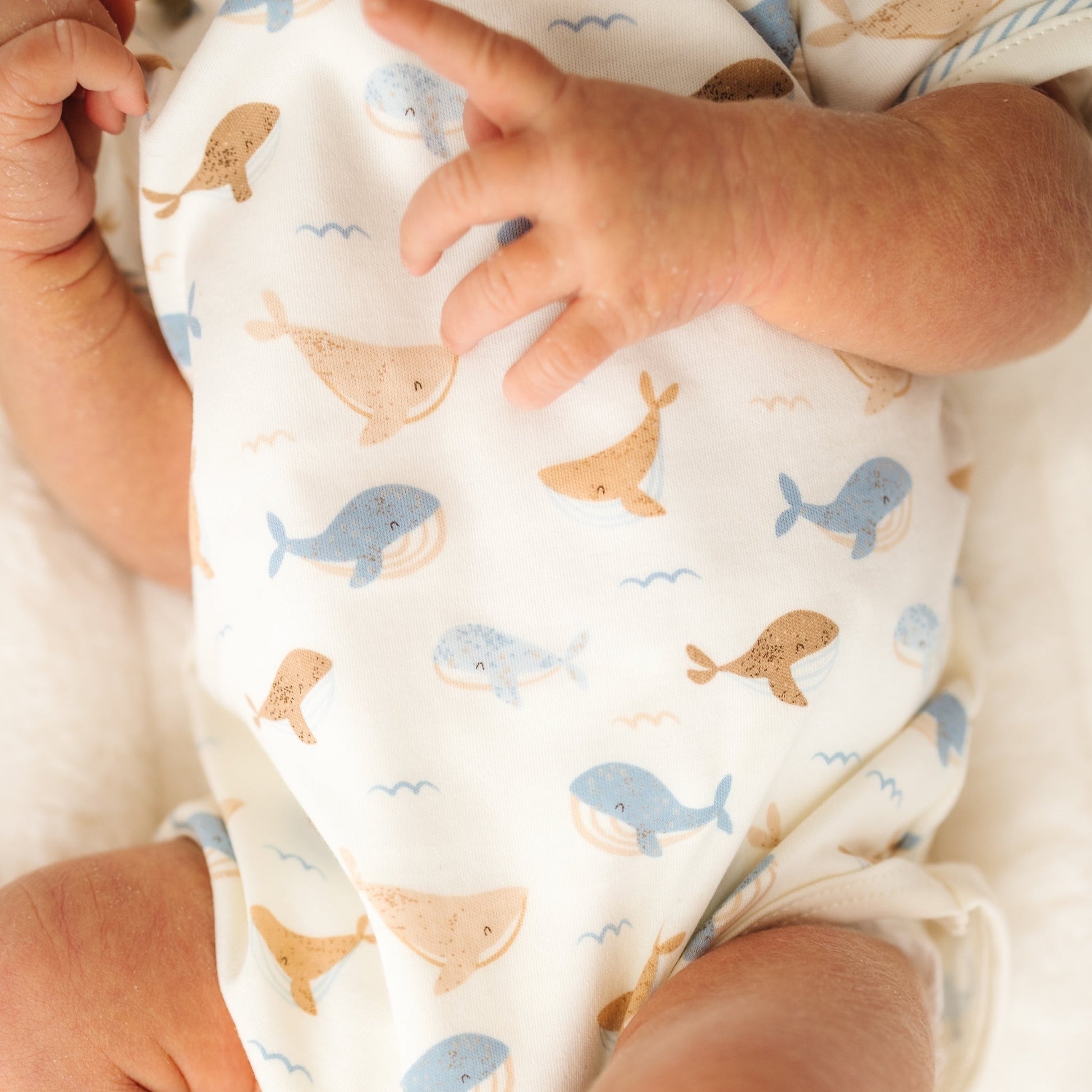 Whale Tales Lap Bodysuit - Ivory - Magnolia BabyBodysuit