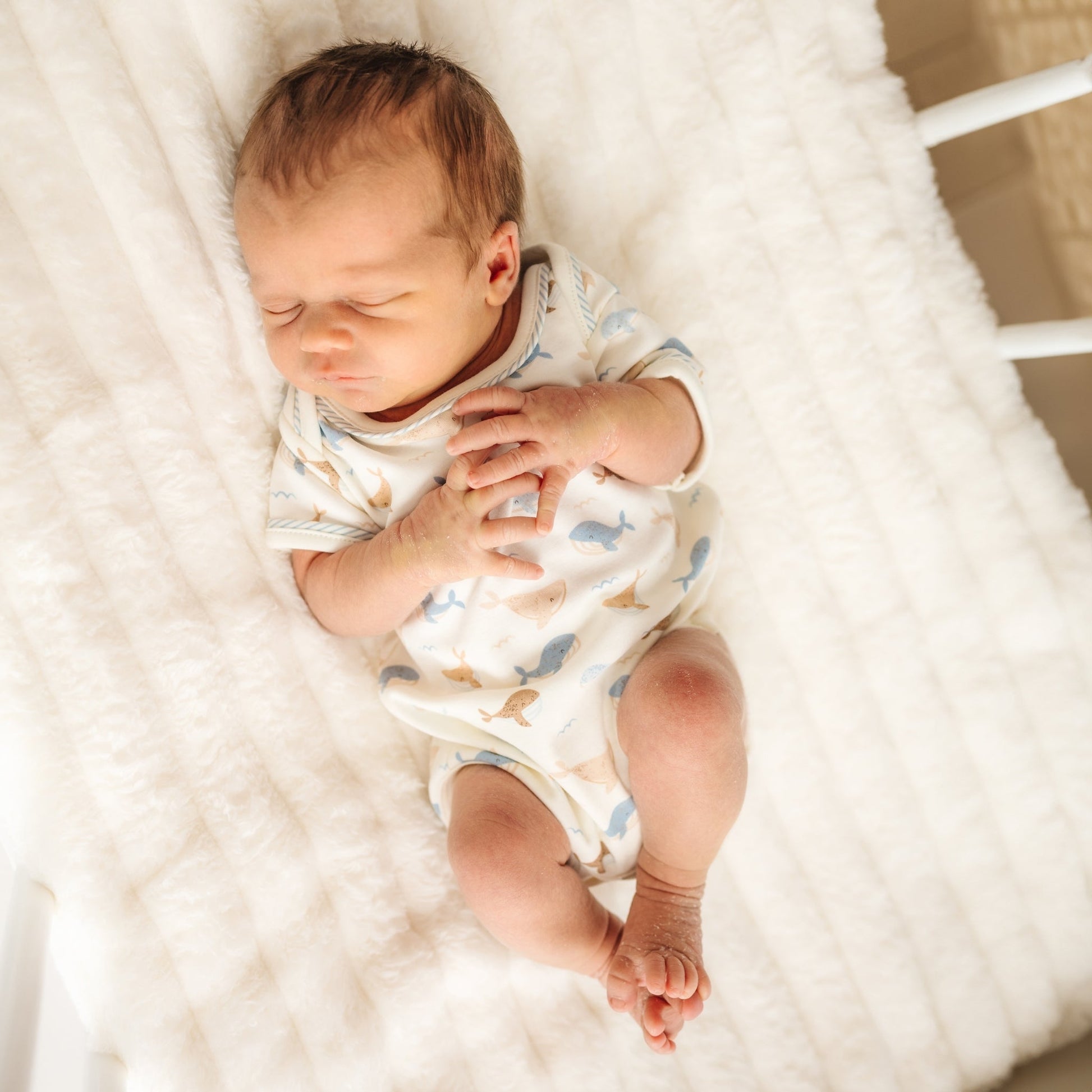 Whale Tales Lap Bodysuit - Ivory - Magnolia BabyBodysuit