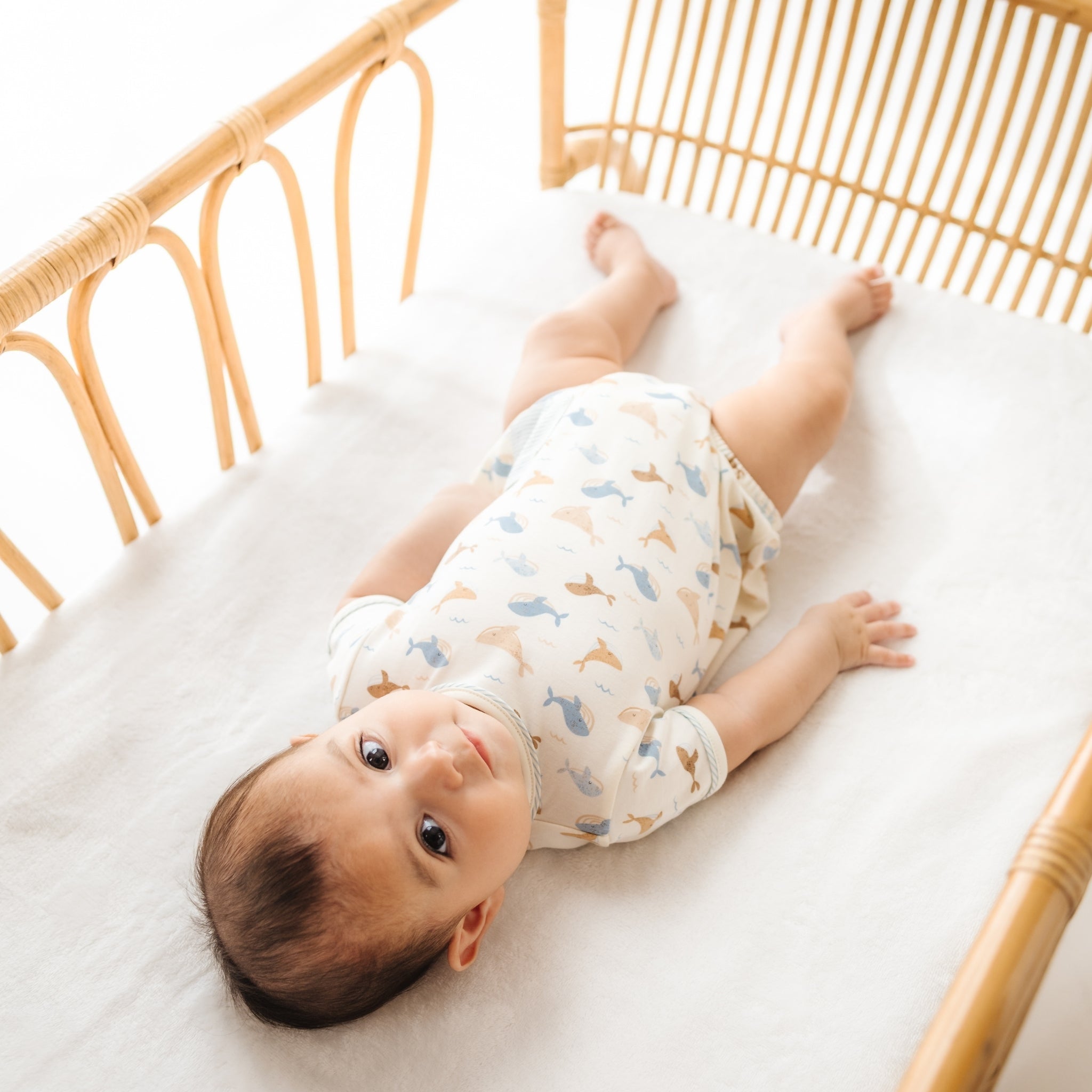 Whale Tales Short Sleeve Bubble - Ivory - Magnolia BabyBubble