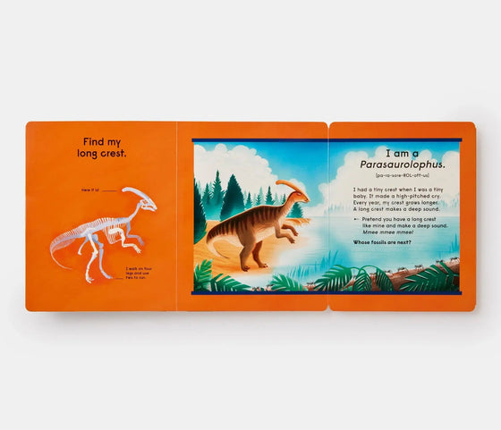 Who's That Dinosaur? - Magnolia BabyBook