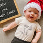 Woodland Reindeer Onesie - Magnolia BabyBodysuit