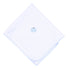 Sweet Pumpkin Blue Embroidered Receiving Blanket - Magnolia BabyReceiving Blanket